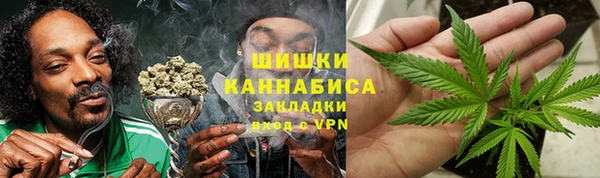 гидра Алексин