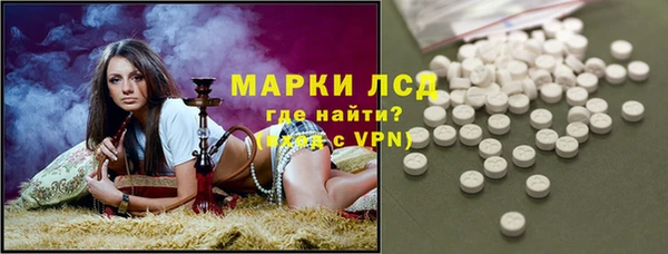 spice Алзамай