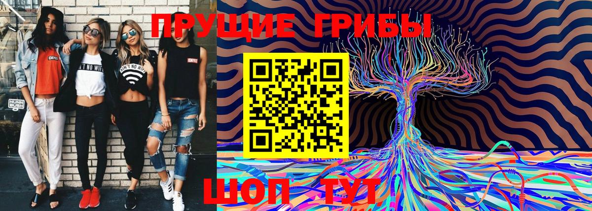 Галлюциногенные грибы Cubensis  Вход с VPN  Лесной  Галлюциногенные грибы мицелий 