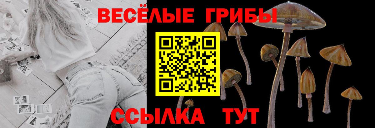Галлюциногенные грибы Magic Shrooms Лесной